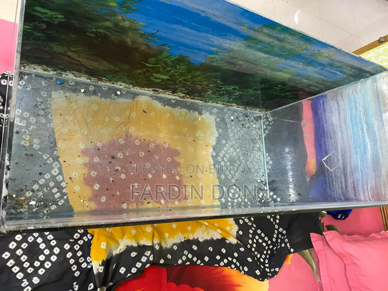 গ্লাস অ্যাকোয়ারিয়াম