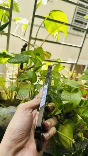অ্যাপল আইফোন ১৪ প্রো ম্যাক্স ২৫৬ জিবি কালো