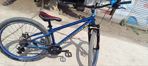 Dartmoor Modified Cycle