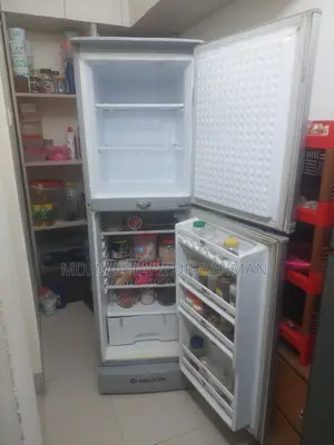 Frosted Fridge