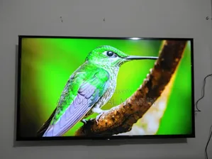 Sony Bravia 43 Inch Smart TV (Pure Original)