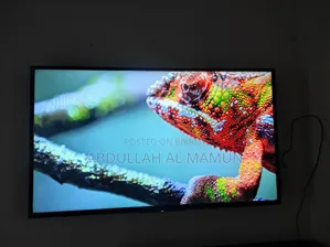 Sony Bravia 43 Inch Smart TV (Pure Original)