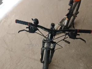 Apollo Cycle