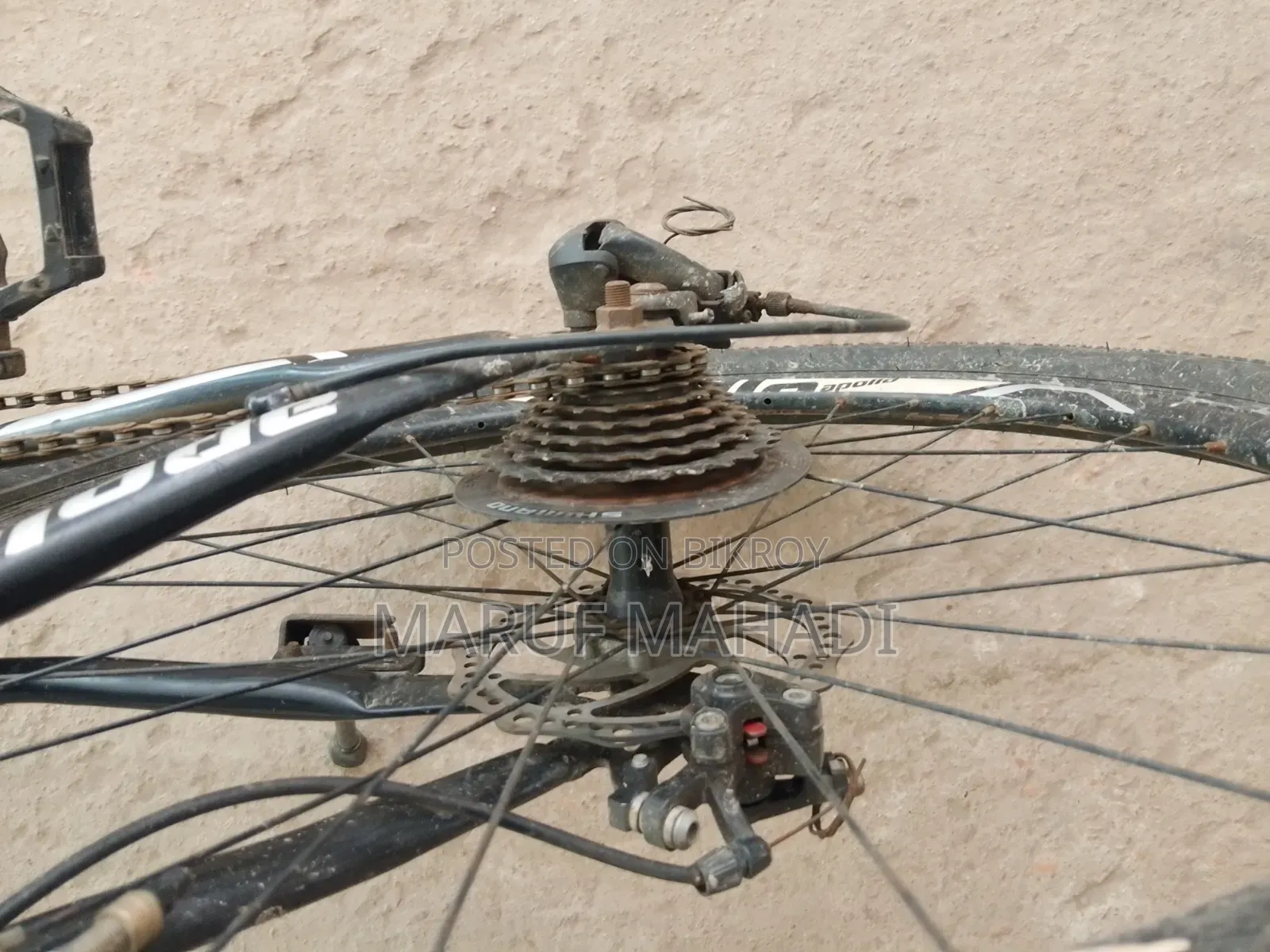 Apollo Cycle