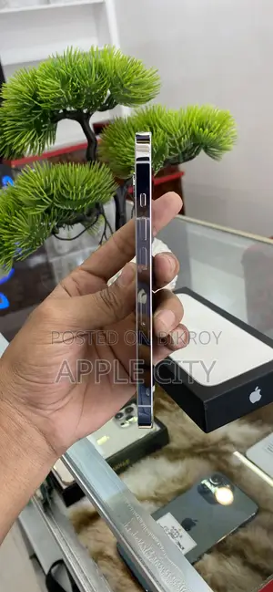 Apple iPhone 13 Pro 256 GB White