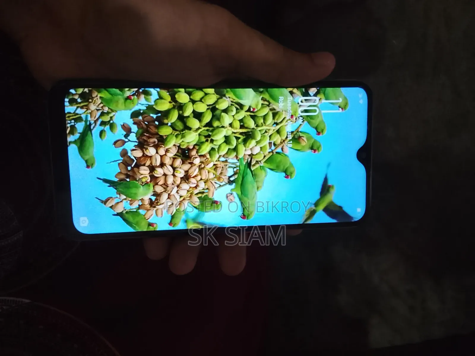 Oppo A5 128 GB গোল্ড