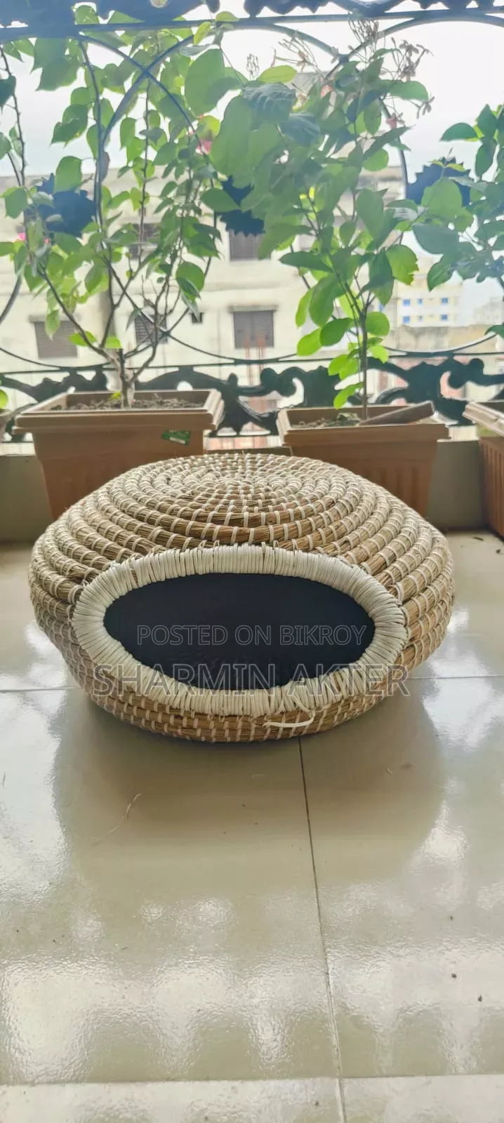 Cat House for Sale