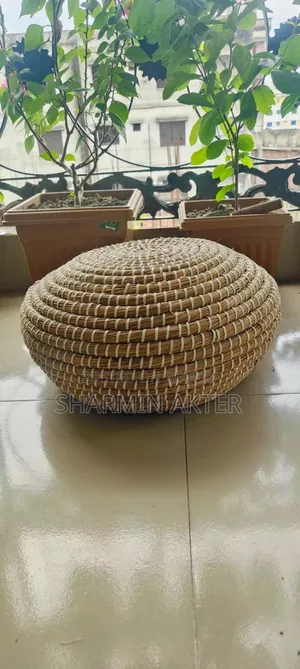 Cat House for Sale