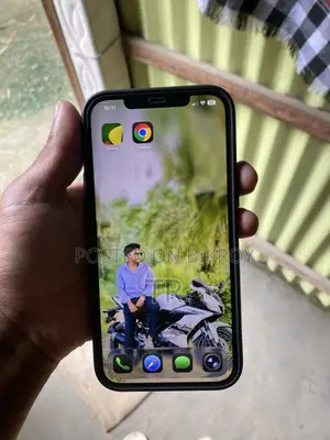 অ্যাপল আইফোন ১২ প্রো ম্যাক্স ২৫৬ জিবি ব্লু