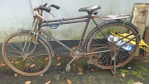 দুইটি ফনিক্স সাইকেল বিক্রি হবে