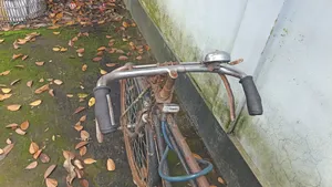 দুইটি ফনিক্স সাইকেল বিক্রি হবে