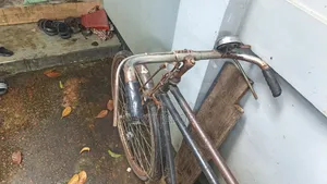 দুইটি ফনিক্স সাইকেল বিক্রি হবে