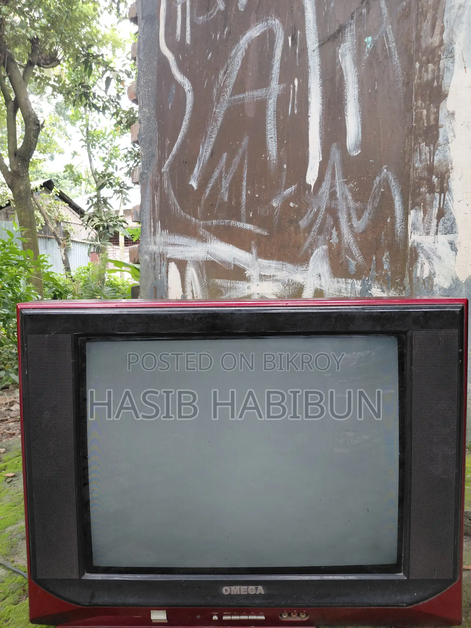 Television / TV