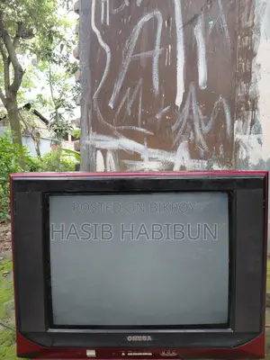 Television / TV