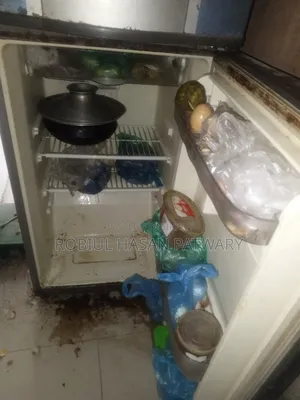 Fridge for Sale