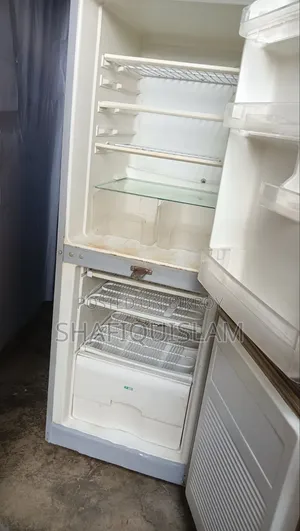 Butterfly Refrigerator