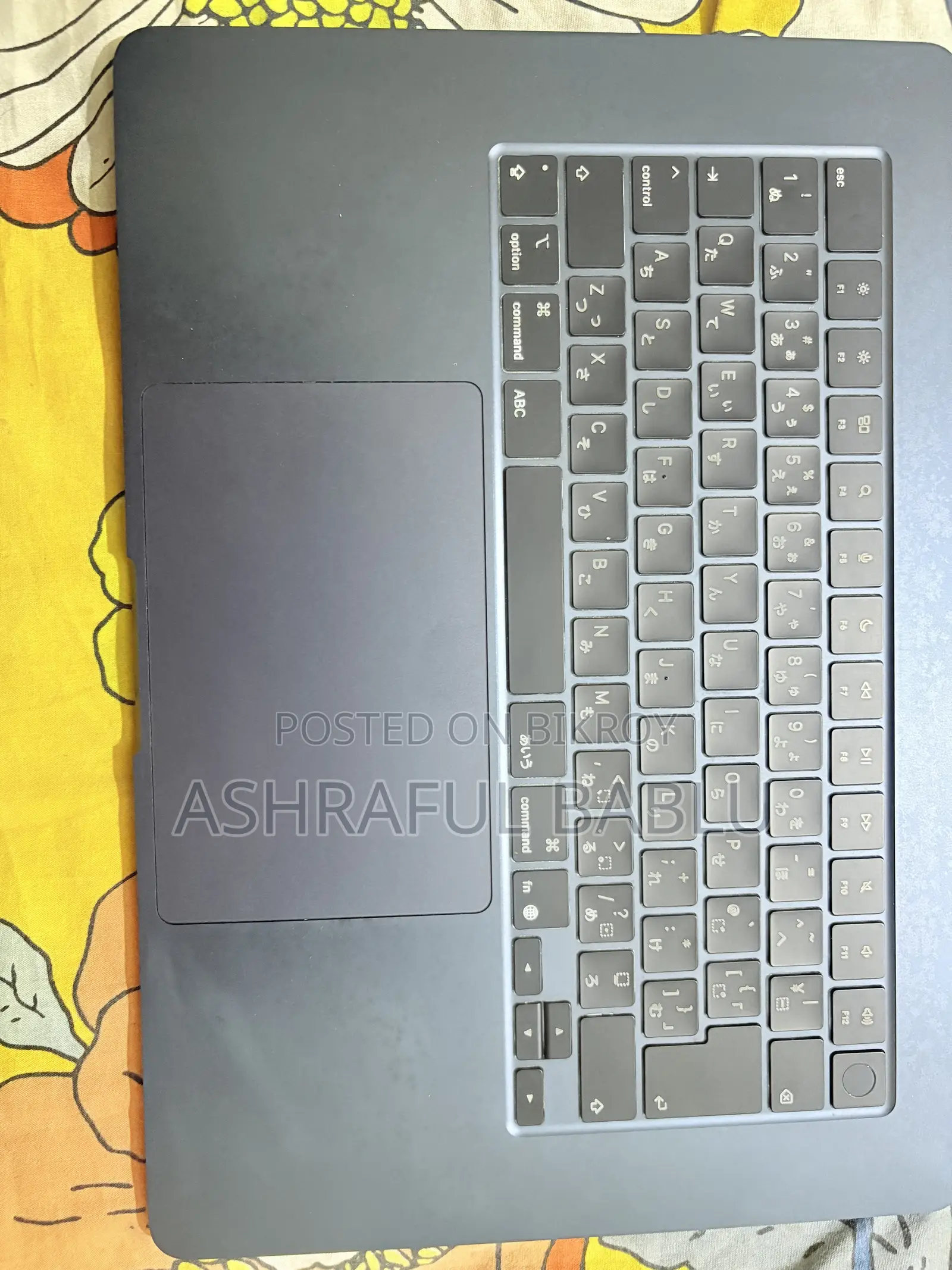 Laptop Apple MacBook Air 2025 M4 16GB Apple M4 SSD 256GB