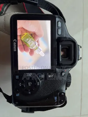 Canon 550D With Youngnuo 50mm Prime Lens