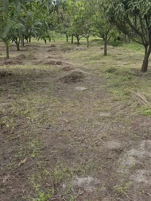 আশুলিয়া উত্তরা ভিউ (ল্যান্ড শেয়ার) ভবিষ্যৎ ১৫০০ বর্গফুট অ্যাপার্টমেন্ট