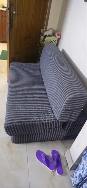 Sofa Cum Bed