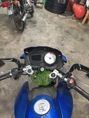 TVS Apache RTR 160 2V 2016 Blue