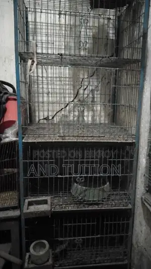 পাখির খাঁচা (৪ টি তাক)