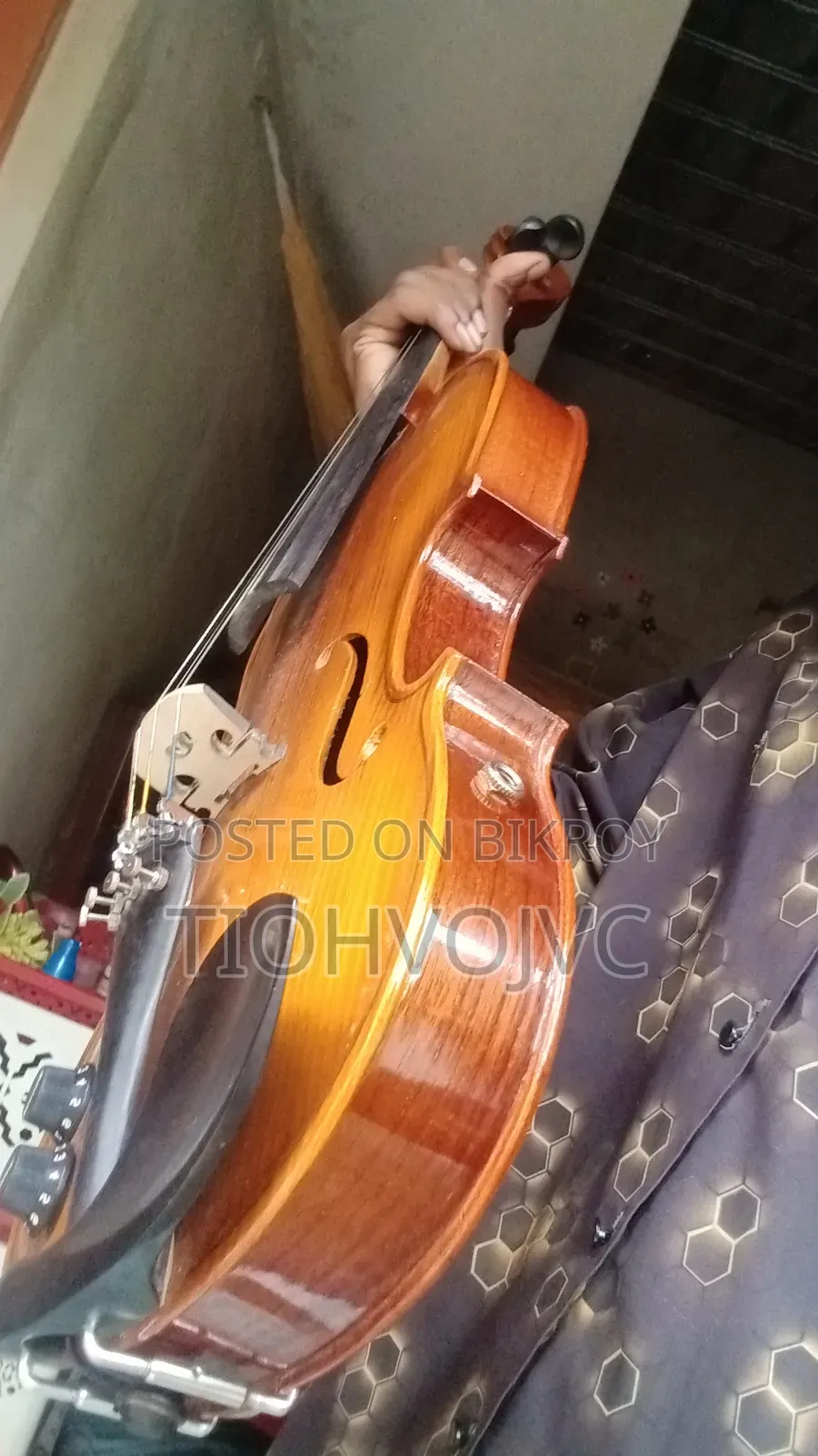 বেহেলা বা বায়োলিন