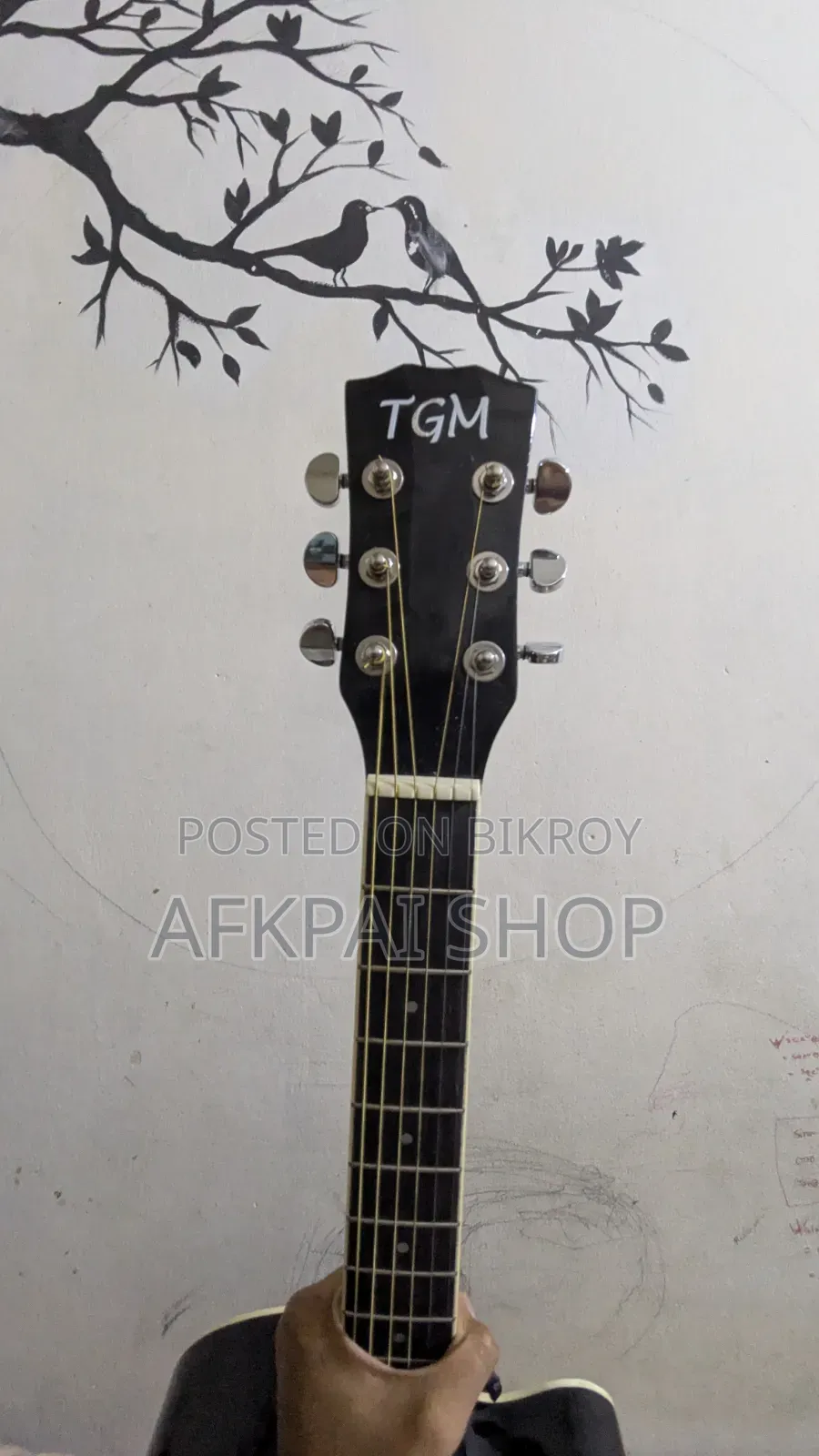 Guitar Sell TGM AG-48C