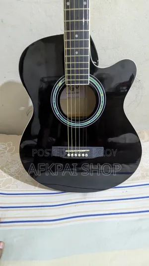 Guitar Sell TGM AG-48C