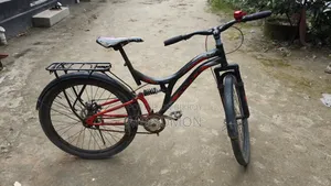বাইসাইকেল প্রিন্স