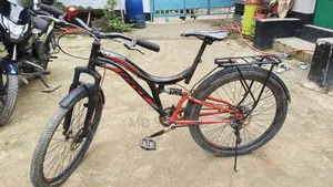 বাইসাইকেল প্রিন্স