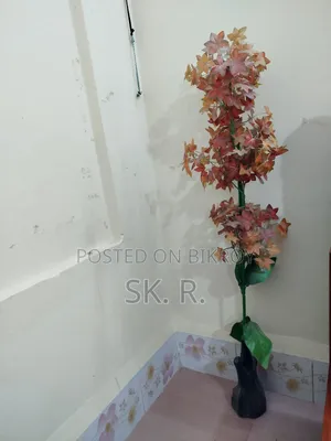 ওয়ালমেট, ঘরের জন্য কৃত্রিম গাছ