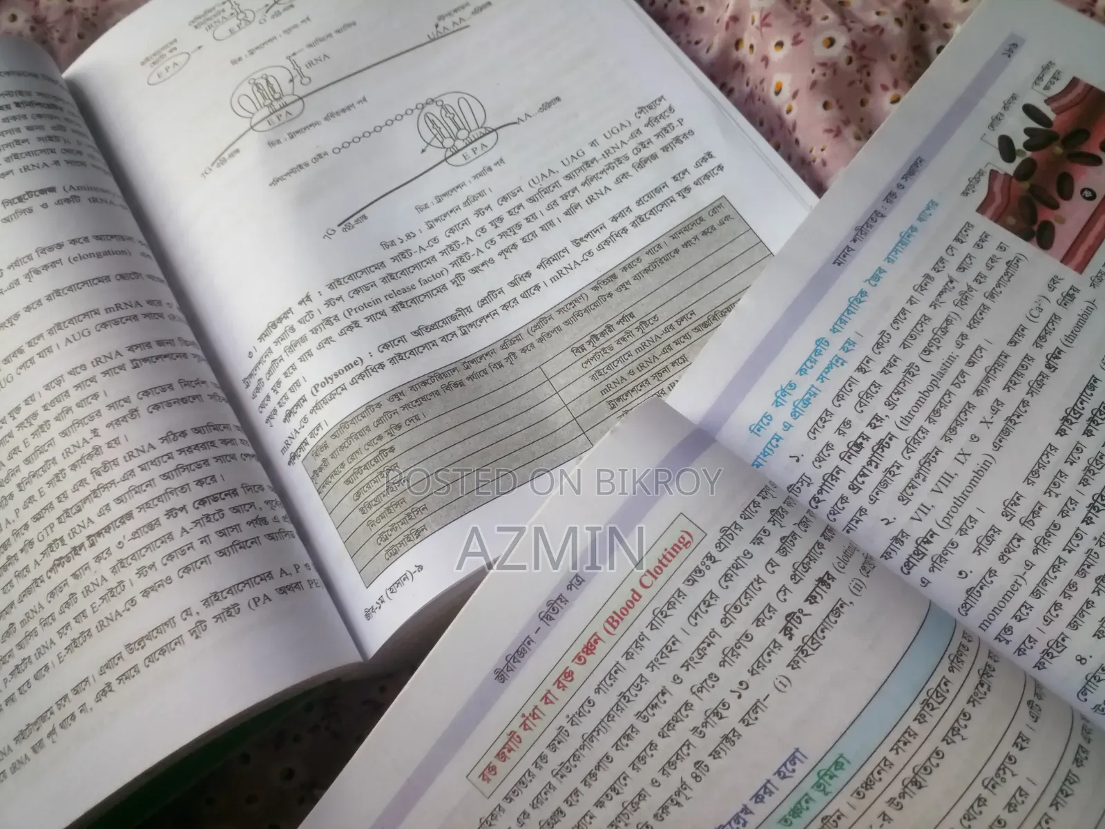 HSC 26 Biology 1st Paper + 2nd Paper