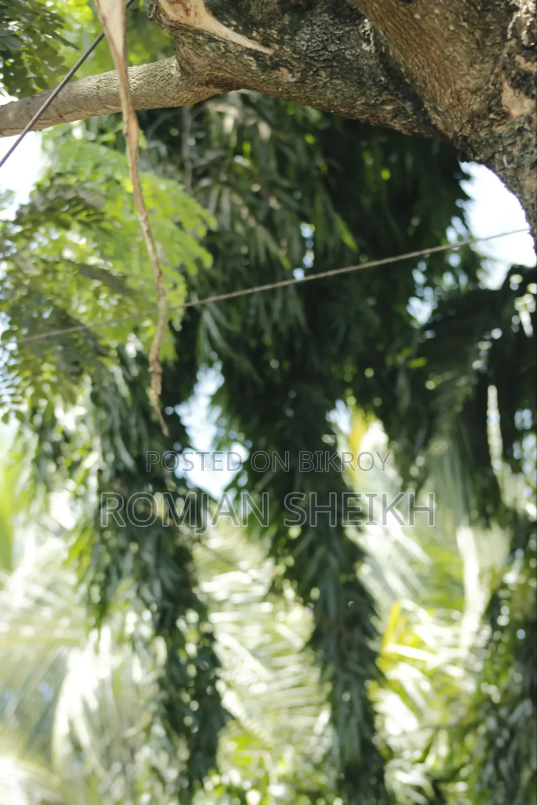একেবারে ভালো কন্ডিশনে জুম: ৭৫-৩০০মিমি