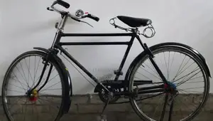 Phoenix Bicycle