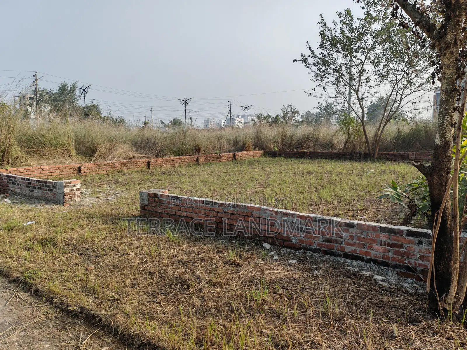 South Facing 4 Katha Plot in M Block