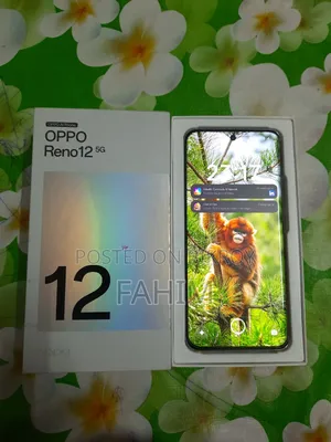 Oppo Reno12 512 GB Silver