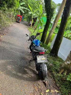 রানার বোল্ট ১৬৫আর ২০২২ নীল
