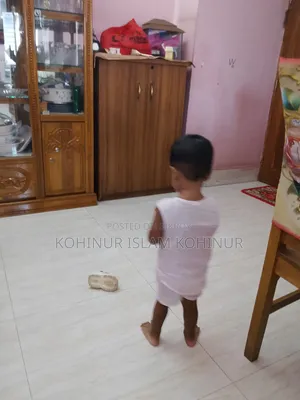 কেরানীগঞ্জে ভাড়ার জন্য মিনি ফ্ল্যাট
