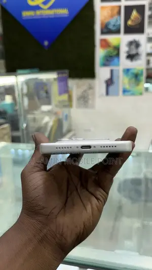 অ্যাপল আইফোন ১৭ প্রো ম্যাক্স ২৫৬ জিবি সিলভার