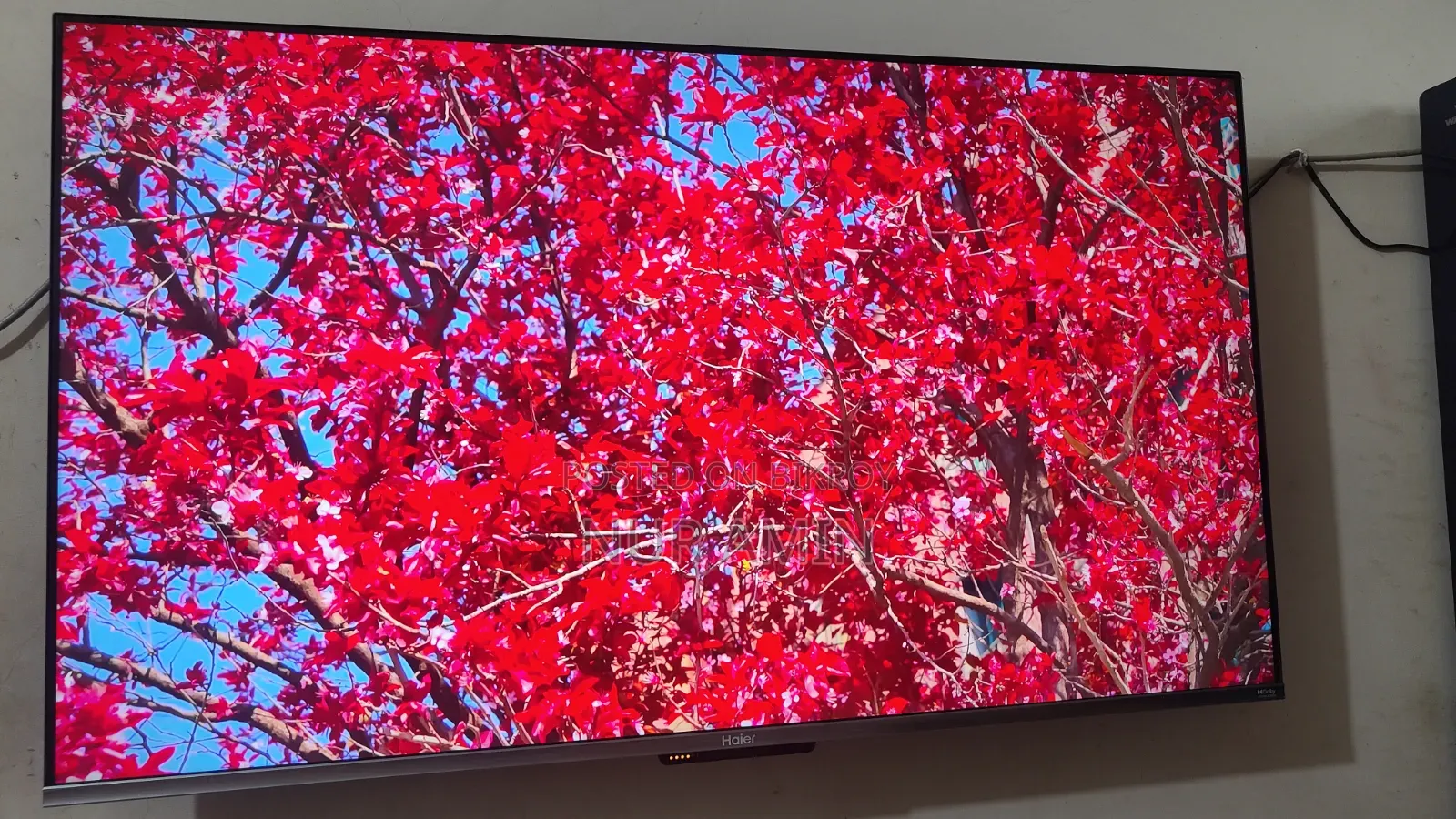 Haier 50 Google TV