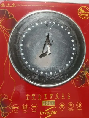Electric Oven