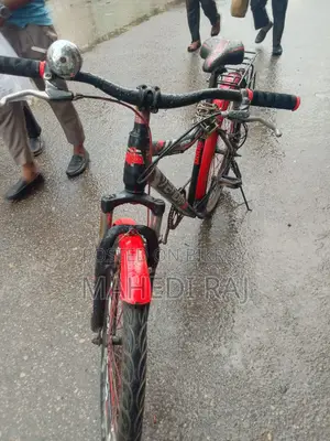 ভেনম বাইসাইকেল