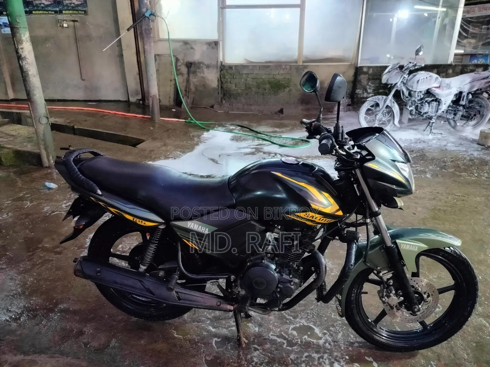 Yamaha Saluto 125 2019 Green