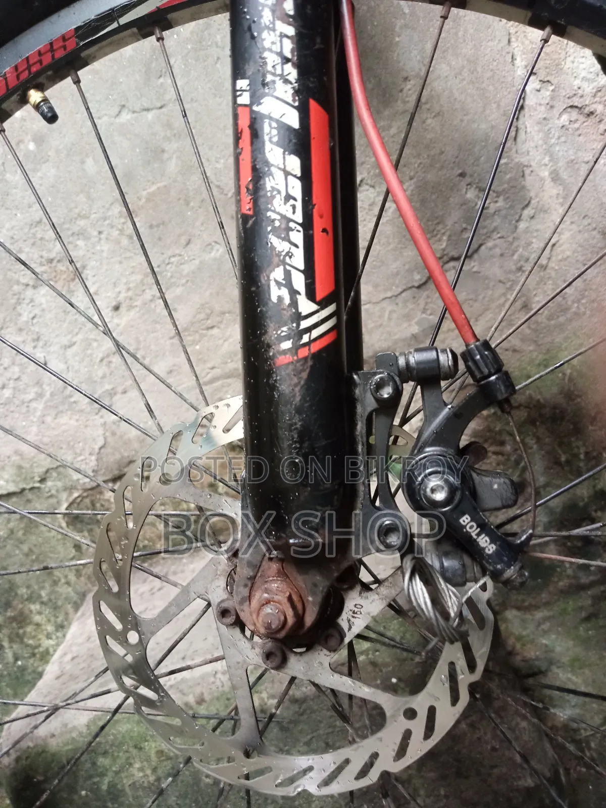 Peerless Gear Cycle