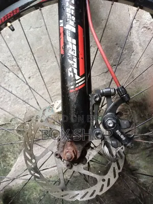 Peerless Gear Cycle