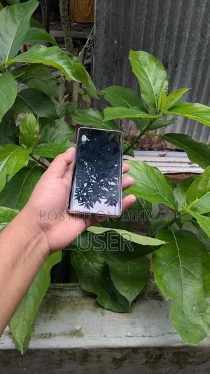 Google Pixel 7 Pro 128 GB White