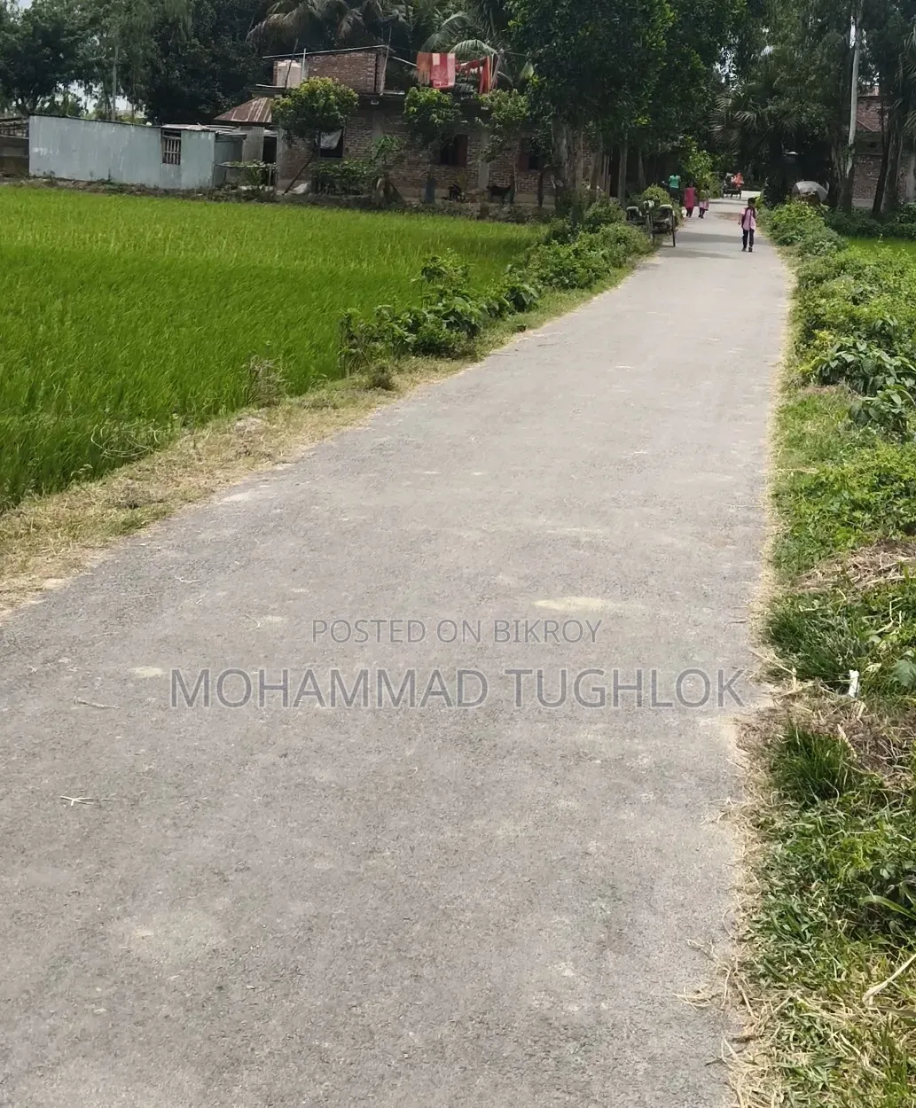 রাস্তার পাশে ৬১ শতক জায়গা বিক্রয় হবে
