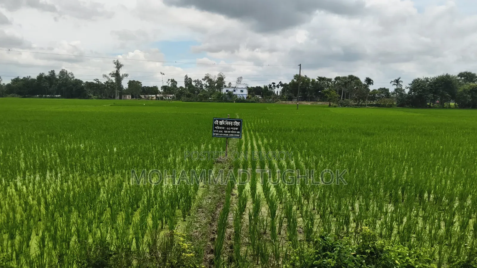 রাস্তার পাশে ৬১ শতক জায়গা বিক্রয় হবে