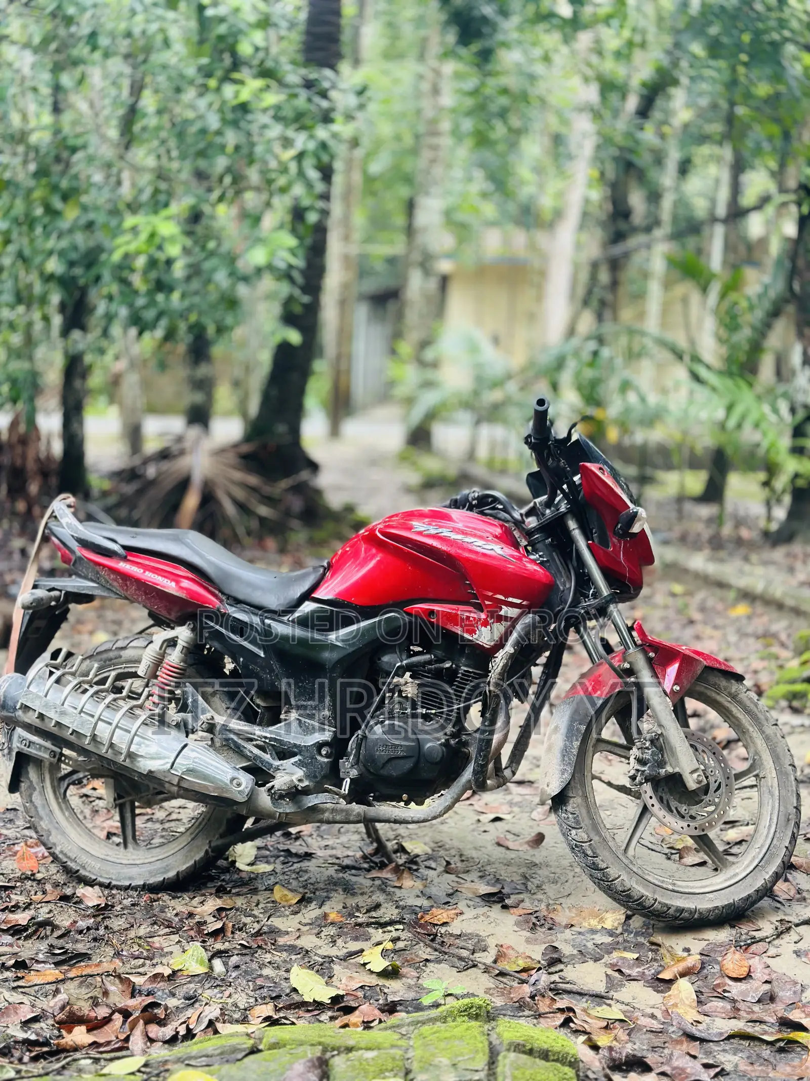 Hero Hunk 2018 Red